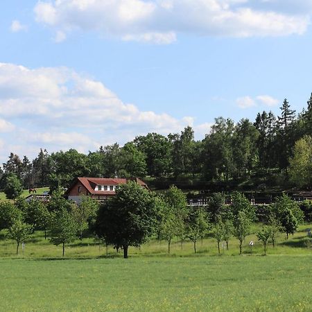 Hotel Ubytovani Pod Haniperkem Vodňany Exterior foto